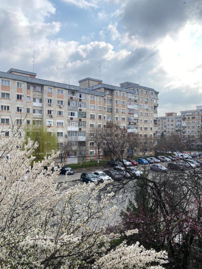 Virginia'S Studio Питещ Екстериор снимка